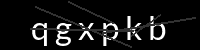 PHP Captcha for Piwigo