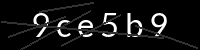 PHP Captcha for Piwigo