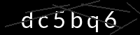 PHP Captcha for Piwigo