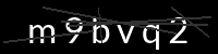 PHP Captcha for Piwigo