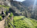 rupit 2025 0022