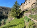 rupit 2025 0023