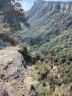 rupit 2025 026