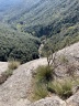 rupit 2025 040