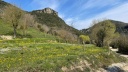 rupit 2025 044