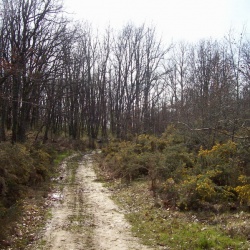 saison 2009 2010