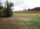 saison 2009 2010