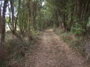 04-09-larra 22