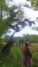 04 05 simorre 23