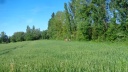 10 05 gragnague st-marcel 21