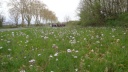 04 04 Sayrac Entourette