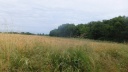 DSCF5003