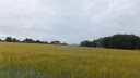DSCF5015