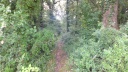DSCF5029