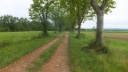 DSCF5032