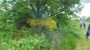 09 05 layrac creve cor 006
