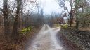 03-11-02- lalbenque -002