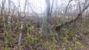 06-11-02- lalbenque -005