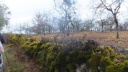 10-11-02- lalbenque -009