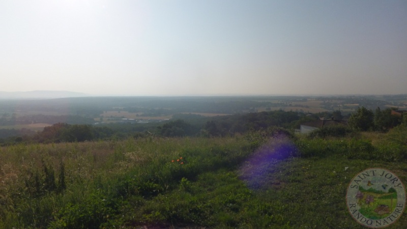 DSCF5052
