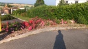 DSCF5063