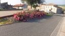 DSCF5065