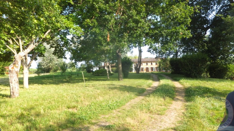 DSCF5075