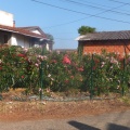 DSCF5083