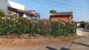 DSCF5083