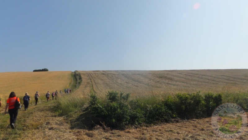 DSCF5087