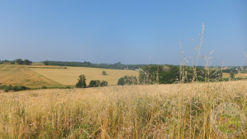 DSCF5090