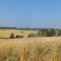 DSCF5090