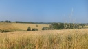 DSCF5090