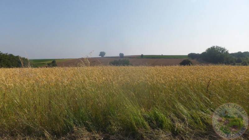 DSCF5097