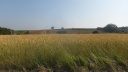 DSCF5097