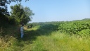 DSCF5110