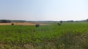 DSCF5113