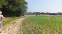 DSCF5115