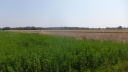 DSCF5122