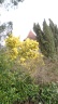 14 03 montbartier 07