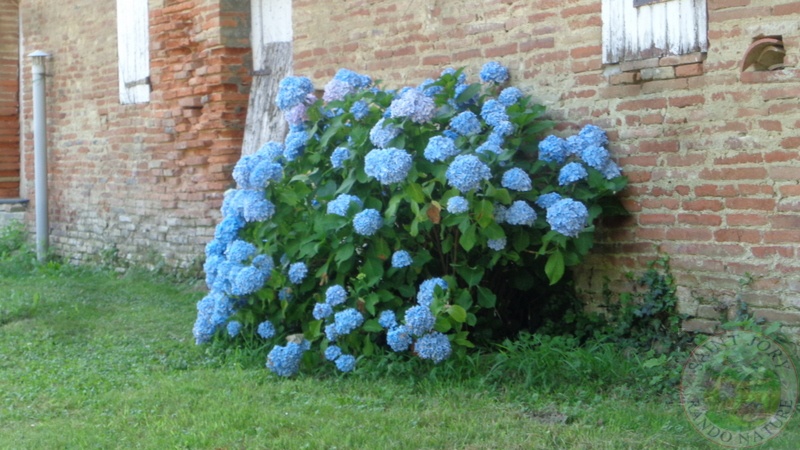 20-05 montbequi 09