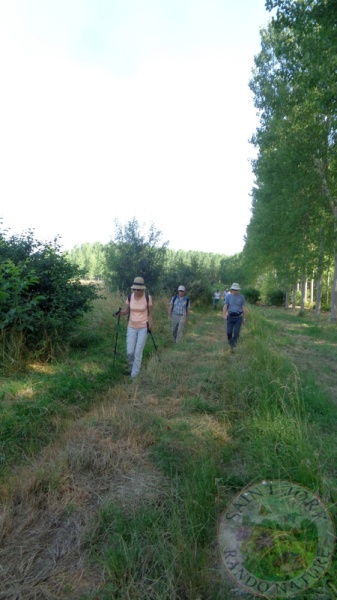 20-05 montbequi 13
