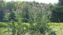 20-05 montbequi 17