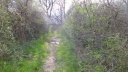 28-03-dieupentale -014