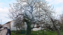 28-03 Dieupentale
