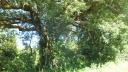 30 05 mezens 14