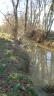 31 01 grenade-canalet 15