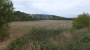 07-DSCF7042
