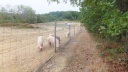 08-DSCF7044