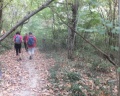 11-DSCF7047